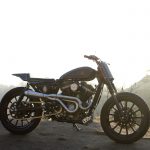 Harley Davidson Sportster "Pata Negra" Tracker (Brawny Built) 34