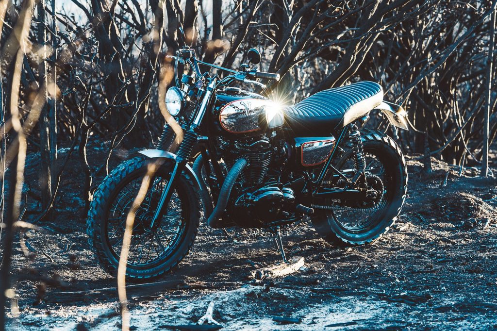 Kawasaki W650 "The Wishbones" (Deus Ex Machina) - caferaceros.com