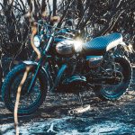 Kawasaki W650 "The Wishbones" (Deus Ex Machina) - caferaceros.com