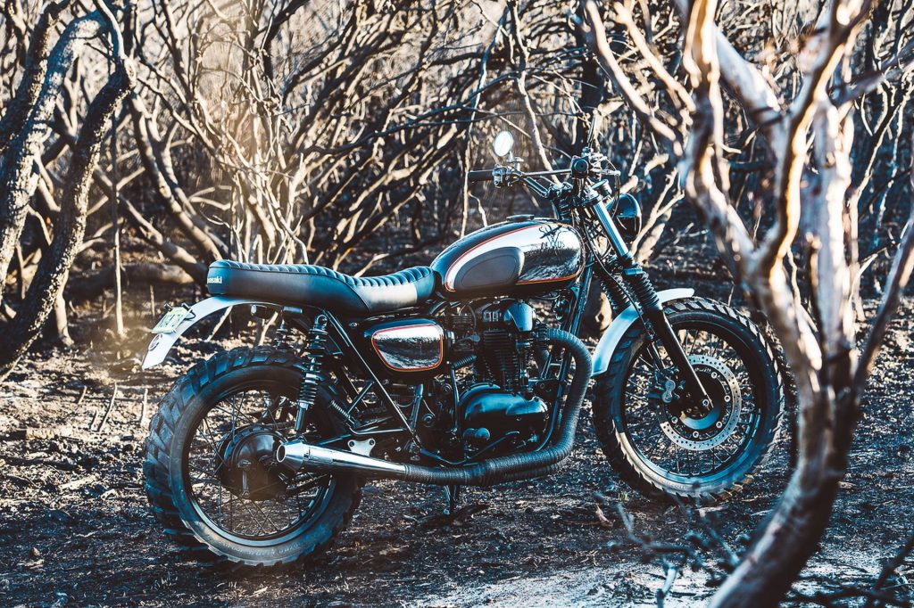 Kawasaki W650 "The Wishbones" (Deus Ex Machina) - caferaceros.com