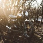 Kawasaki W650 "The Wishbones" (Deus Ex Machina) - caferaceros.com